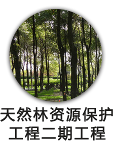 天然林资源保护工程二期工程