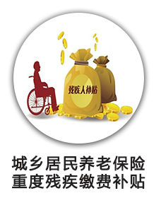 城乡居民养老保险重度残疾缴费补贴