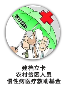 建档立卡农村贫困人口慢性病医疗救助基金