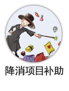降消项目补助