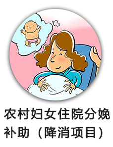 农村妇女住院分娩补助（降消项目）