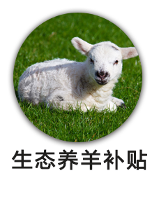 生态养羊补贴