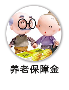 养老保障金