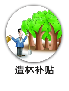 造林补贴
